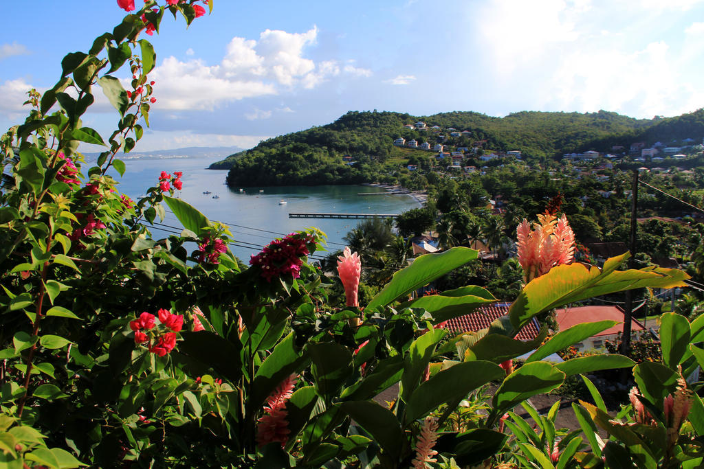 Le Panoramic Aparthotel Les Trois-Ilets Rum bild